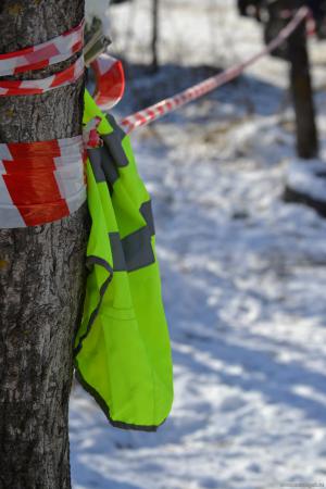 trial_201200076.jpg