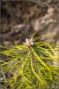 0_c5058_b2704b2f_xxl_t1.jpg