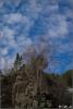 0_c505c_2b731864_xxl_t1.jpg
