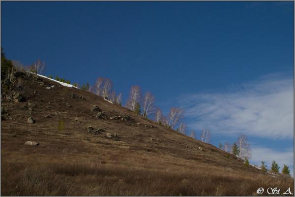 0_c51ac_4ab97452_XXL.jpg
