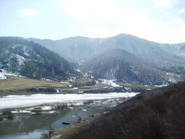 durak-2013_0000023.jpg