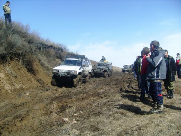 durak-2013_0000026.jpg