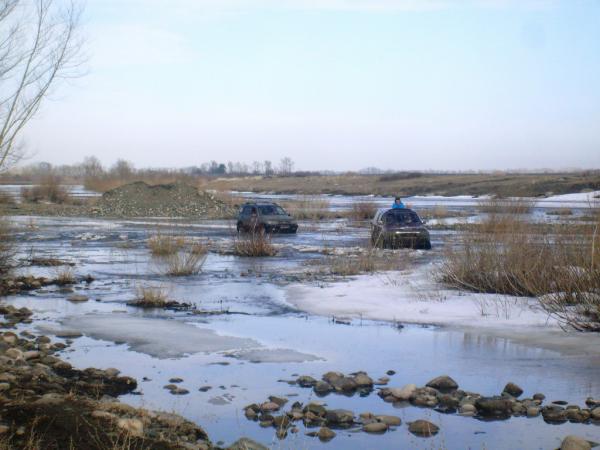 durak-2013_0000033.jpg