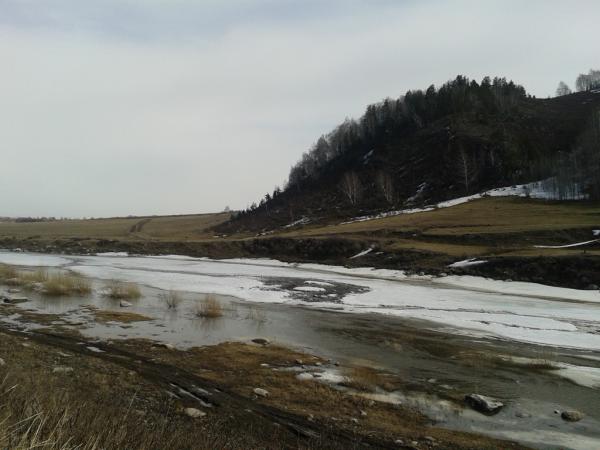 durak-2013_0000034.jpg