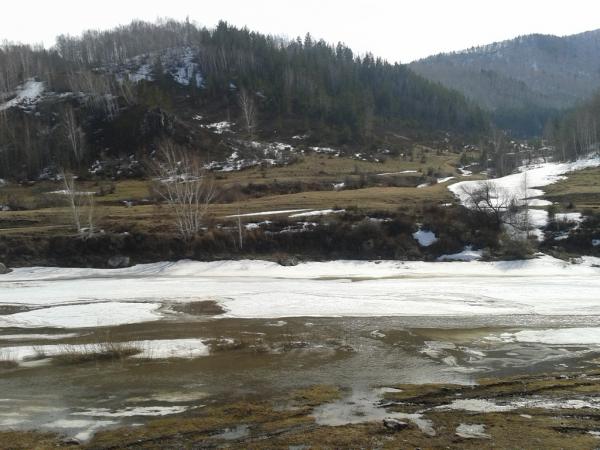 durak-2013_0000035.jpg