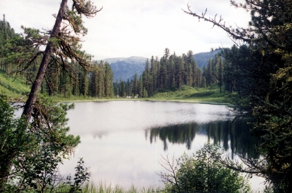 teleckoe-2003_0013.jpg