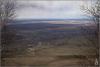 p4203675_t1.jpg