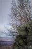p4203677_t1.jpg