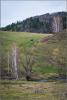 p4203695_t1.jpg