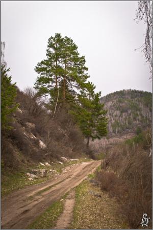 P4203745.jpg