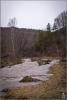 p4203763_t1.jpg